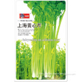 High Quality Celery Seed For Planting-Shanghai Yellow Green Celery